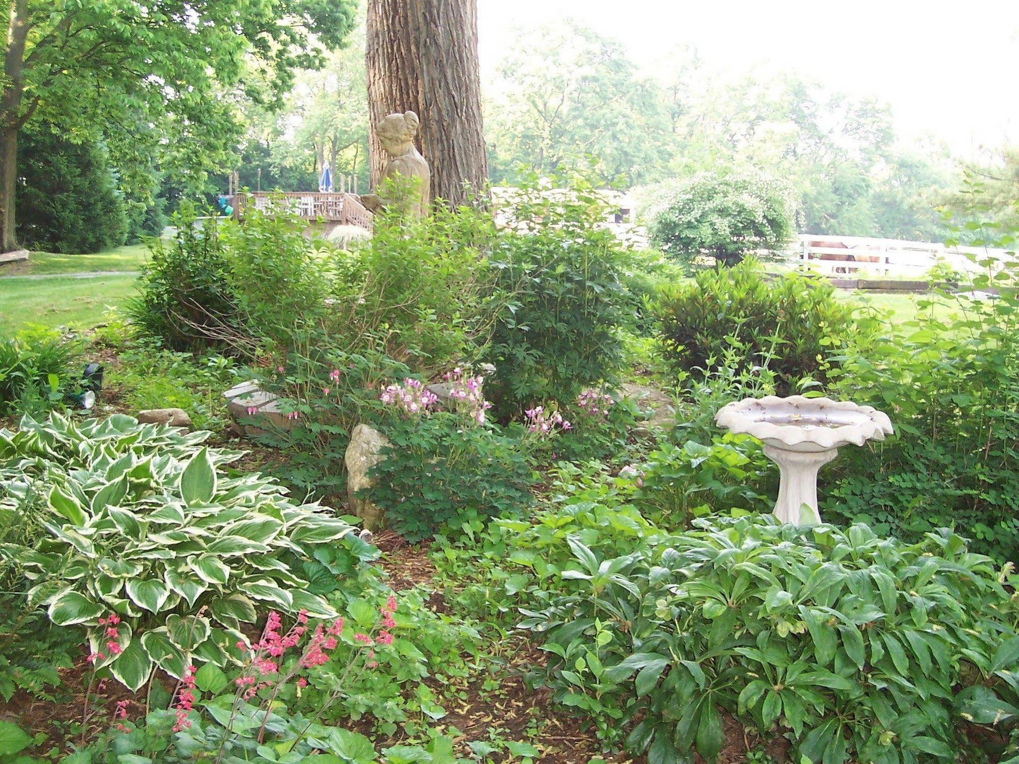 Fallen Tree Farm Bed&Breakfast Carlisle Exterior foto